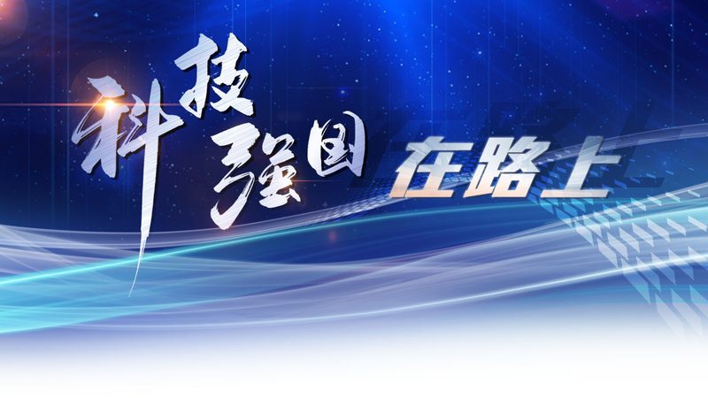 技术外包服务合同注意事项：规避潜在风险，保障项目顺利进行